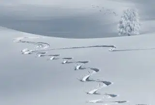 Quel est le domaine d’application de la loi montagne ?