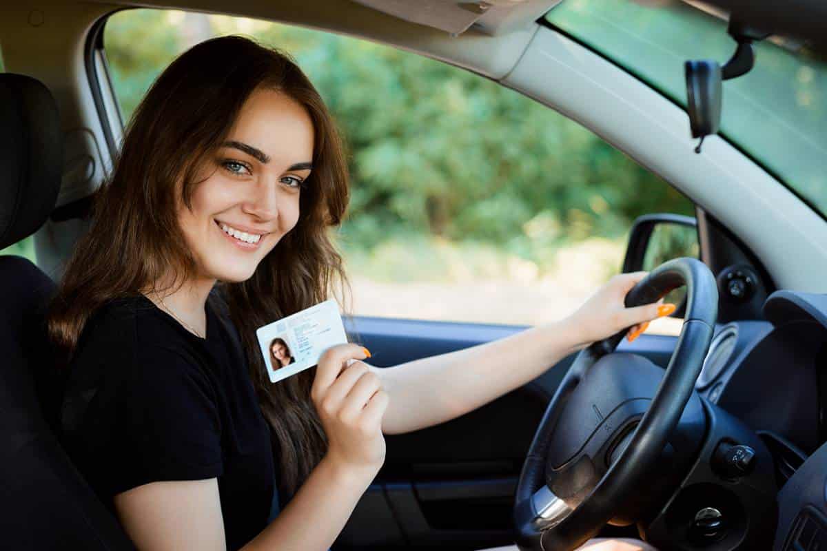 permis de conduire 